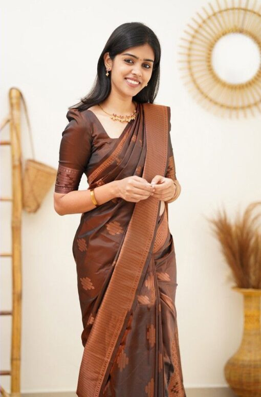 silk saree brown