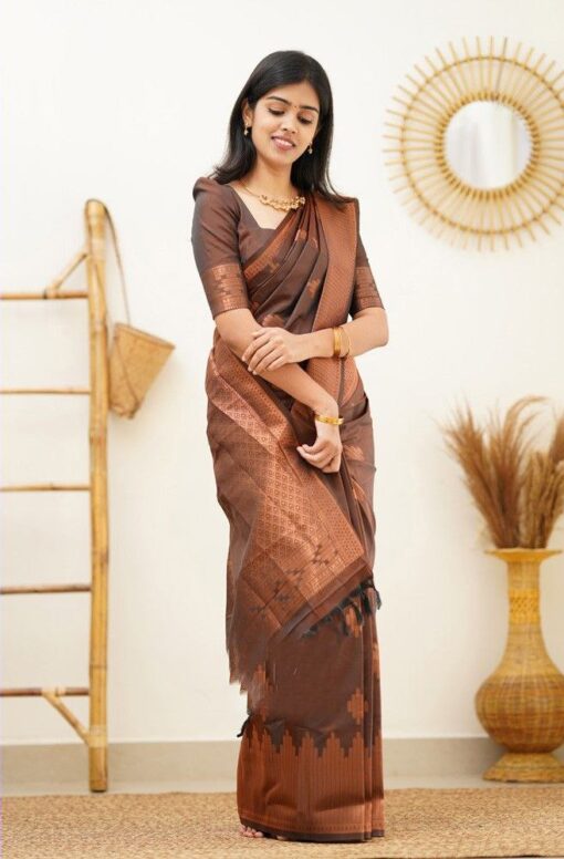 coffee brown colour silk saree